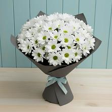 Букет цветов из:  Хризантемы #REPLACE_PRED# Лаишево