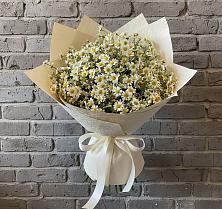 Букет цветов из:  Ромашки в Лаишево