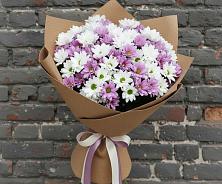 Букет цветов из:  Хризантемы в Лаишево