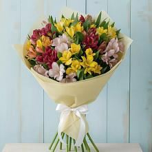 Букет цветов из:  Альстромерии в Лаишево
