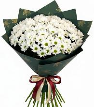 Букет цветов из:  Хризантемы в Лаишево