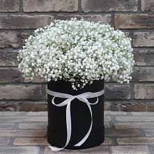 Цветочная композиция из Гипсофила в шляпной коробке в Лаишево