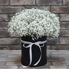 Цветочная композиция из Гипсофила в шляпной коробке в Лаишево