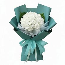 Букет цветов из:  Гортензия #REPLACE_PRED# Лаишево
